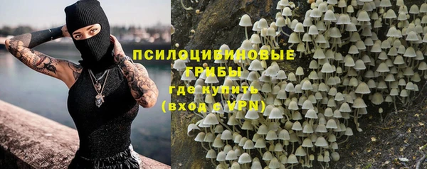 мяу мяу кристалл Ладушкин