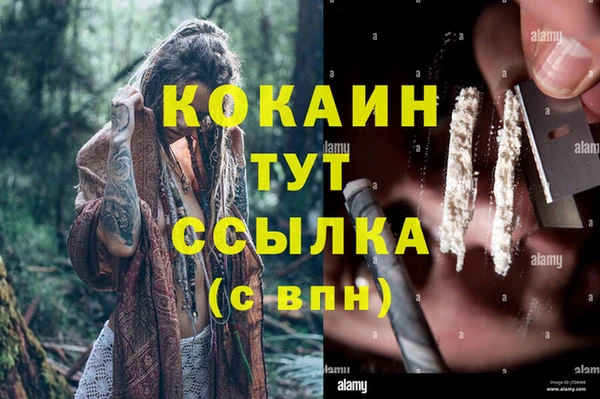 герыч Мегион